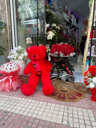 Fleurs d’amour à Tetouan 22
